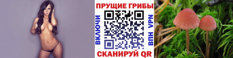 MEGA зеркало  Нерехта  Галлюциногенные грибы Psilocybine cubensis 